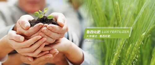 鲁西化肥加盟代理招商 鲁西化肥加盟费 鲁西化肥加盟条件